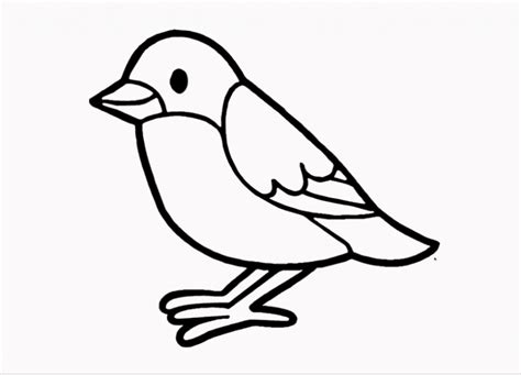 bird picture easy