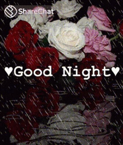 25+ Heartwarming Good Night Rainy GIFs to Feel the Comfort of a Rainy ...