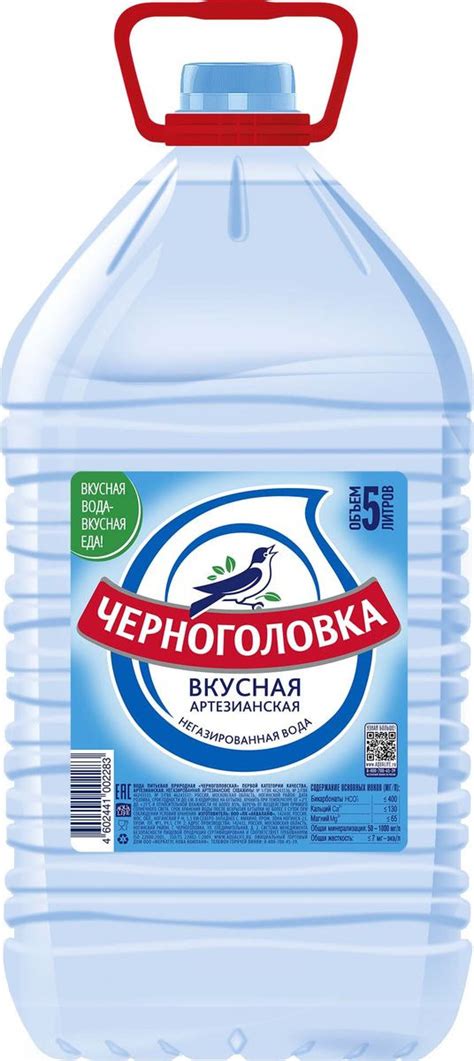 "Черноголовка" вкусная артезианская питьевая вода, 5 л — купить в ...