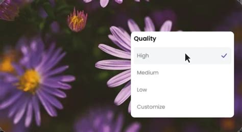 Image Compression 的图像结果