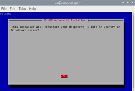 Image result for Raspberry Pi VPN
