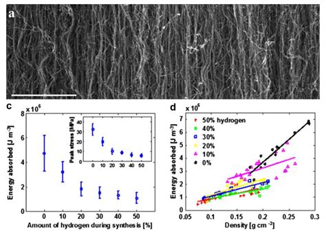 Prof.Abha Misra – Instrumentation and Applied Physics, IISc Bangalore