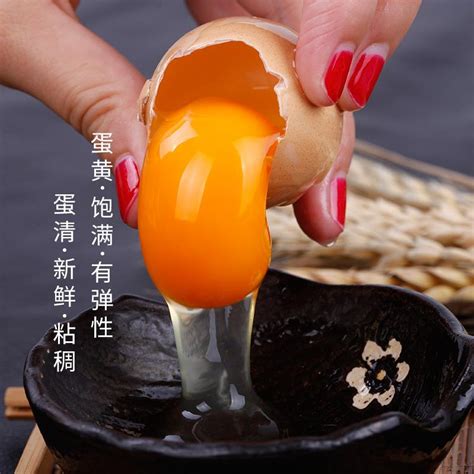 天凯山香柴鸡蛋 20枚750g 邢台市沙河市 天凯鸡蛋-食品商务网