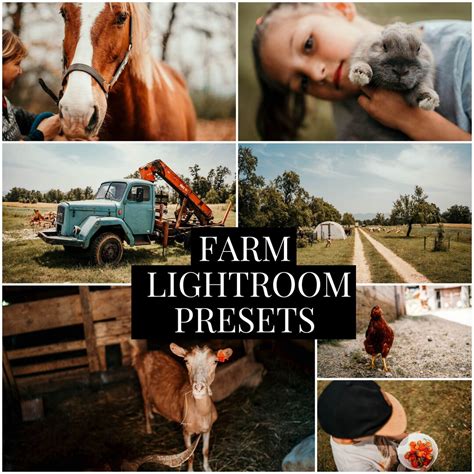 Farm Presets Lightroom Presets Farm Life Presets Natural Preset Horse ...