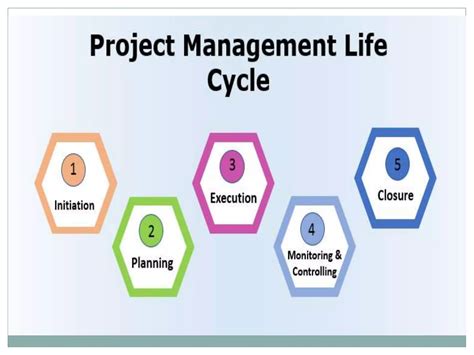 Project Cycle 的图像结果