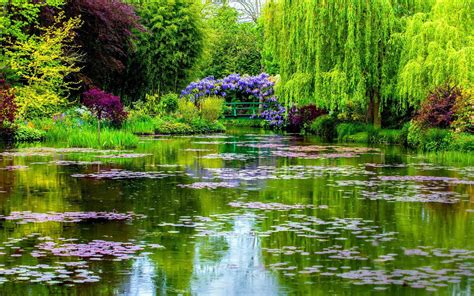 Download Flower Garden With A Beautiful Pond Wallpaper | Wallpapers.com