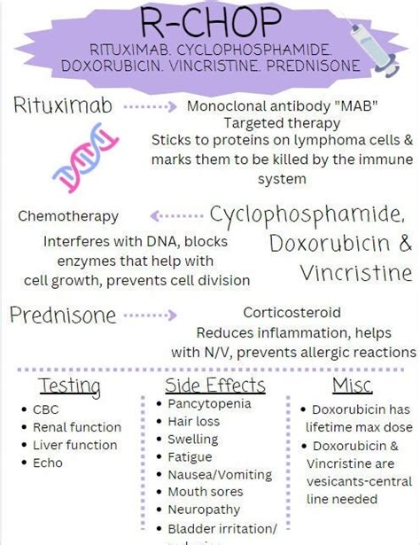 Common Chemotherapy Regimens Study Guide - Etsy
