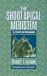 Buy The Shoot Apical Meristem: Its Growth and Development ...
