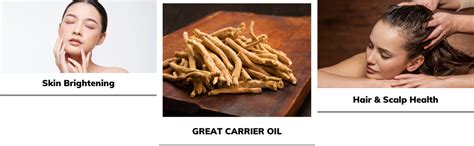 Buy Essancia Rejuvenating Ashwagandha Oil 100% Pure & Natural, Cold ...