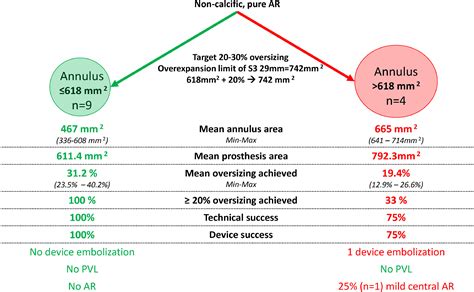 Off-Label Use of Balloon-Expandable Transcatheter Valves to Treat Pure ...