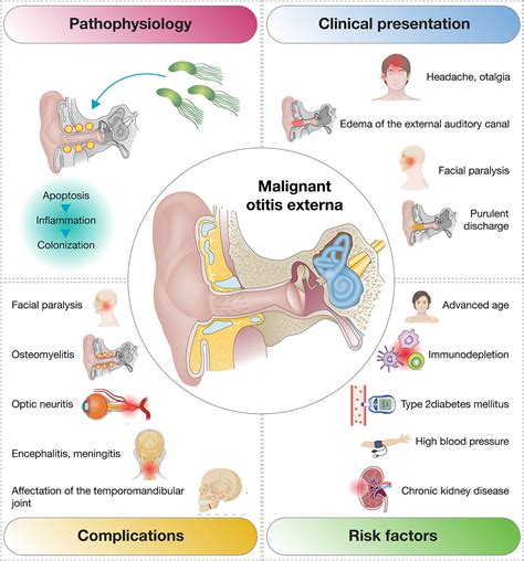 Frontiers | Expanding the diagnostic spectrum of malignant otitis externa: a case report of ...