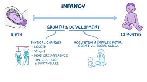 Growth and development - Infant: Nursing - Osmosis Video Library