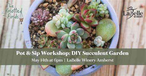Pot & Sip Workshop: DIY Succulent Garden at LaBelle Winery Amherst ...