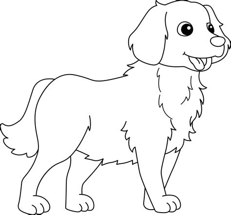 Golden Retriever Coloring Page Free