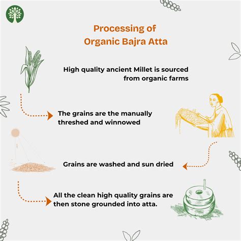 Bajra Atta (Organic) – Greensense