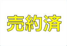 Image result for Visual Basic Language Icon