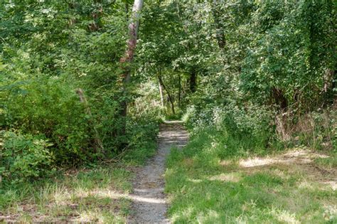 Sewickley Hills Neighborhood Guide | Living in Sewickley Hills - Homes.com
