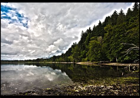 Coho Campground in Olympic National Forest, Washington: Reviews and ...