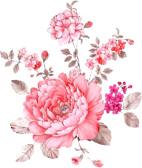 flowers drawing transparent