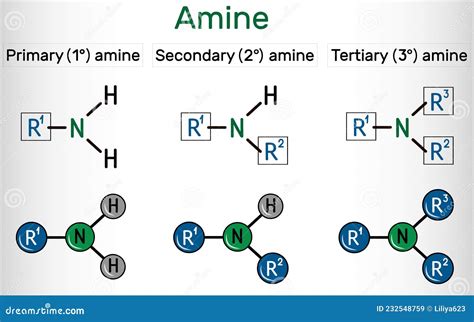 Amino Acid Groups In Secondary Structure at Vivian Nelson blog