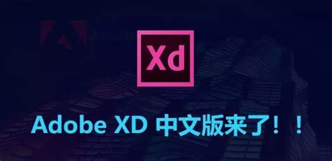 你知道吗？Adobe XD已经免费使用了！！！