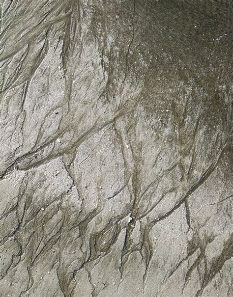 Sand Base Background 的图像结果