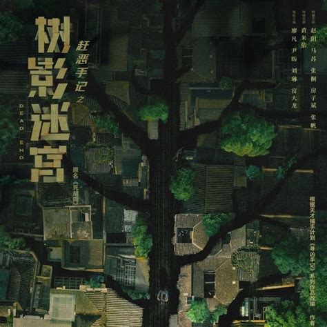 树影迷宫最新素材