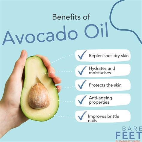 The Benefits of Avocado Oil in Foot Care | Aguacate beneficios, Comida ...