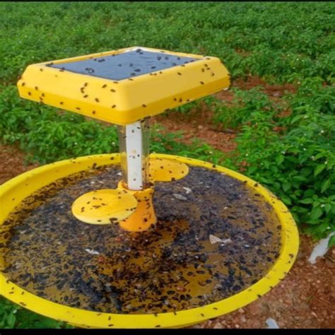 FARMROOT MINI SOLAR TRAP