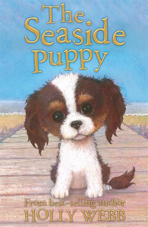 The Seaside Puppy: 33 (Holly Webb Animal Stories) : Webb, Holly ...
