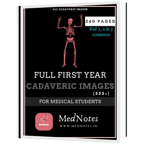 Cadaveric Images - MedNotes