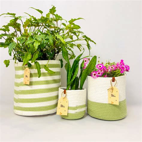 Indoor Planter Baskets - Decorate your indoor planters – AllThatGrows