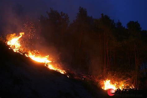 全国一周接报56起森林火灾，绝大多数人为原因引发 - 世相 - 新湖南