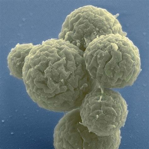 Synthetic genomics advances and promise | J. Craig Venter Institute