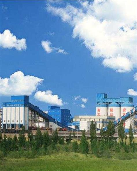 北京中煤煤炭洗选技术有限公司 原煤提运