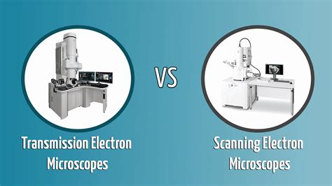 Electron Microscope 的图像结果