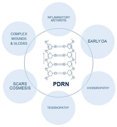 Polydeoxyribonucleotide in the Treatment of Tendon Disorders, from ...