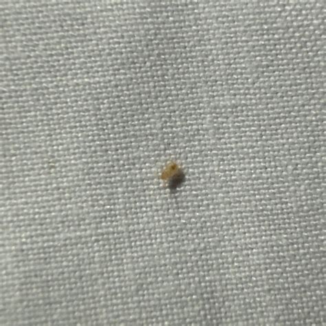 LEONARDO HOTEL MILAN CITY CENTER - Hotel Reviews, Photos, Rate ...