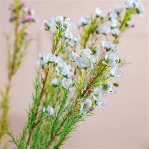 Artificial Flower Stem Online - Premium Artificial Flower | Nestasia