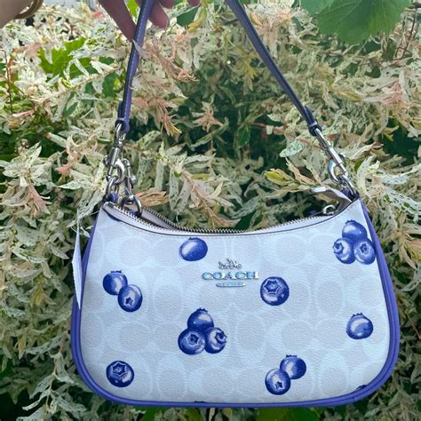 NWT！COACH TERI SHOULDER BAG IN SIGNATURE CANVAS WITH BLUEBERRY PRINT（COACH CR292 in 2024 ...