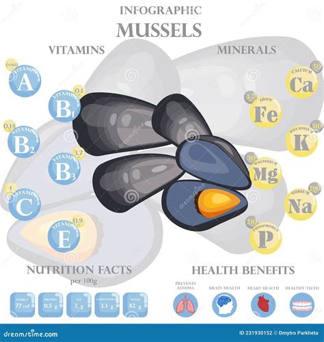 Mussels Nutrition Facts and Health Benefits Infographic Stock Vector ...