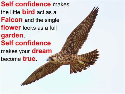 Self Confidence Makes Your Dream Become True | Quotes and Sayings