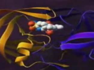 Alien Bacteria 的图像结果