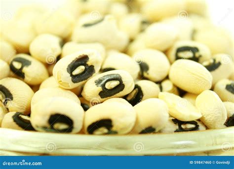 Dry Black Eye Peas Beans Closeup Stock Photo - Image of cooking ...