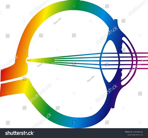 Structure Design Diagram Eye See Things Stock Vector (Royalty Free) 2283966101 | Shutterstock