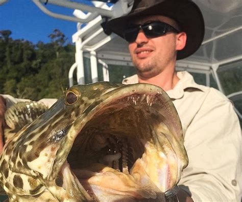 FISHING WHITSUNDAYS - All You Need to Know BEFORE You Go (with Photos ...