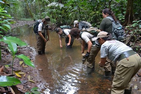 Environmental Protection 的图像结果
