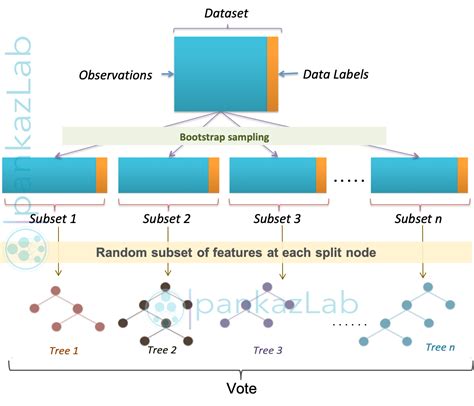 Image result for Create a Tree From a Random Forest