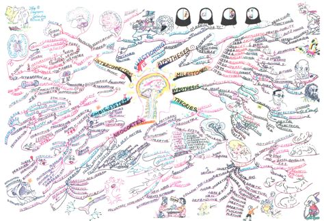 Brain Map 的图像结果