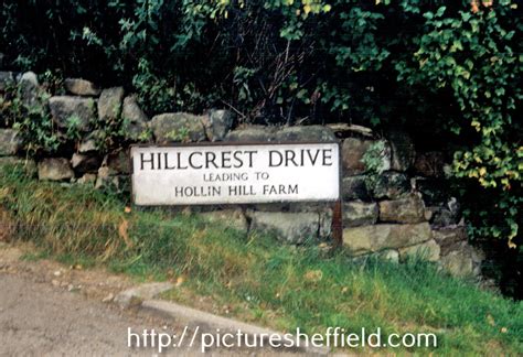 Searching Picture Sheffield